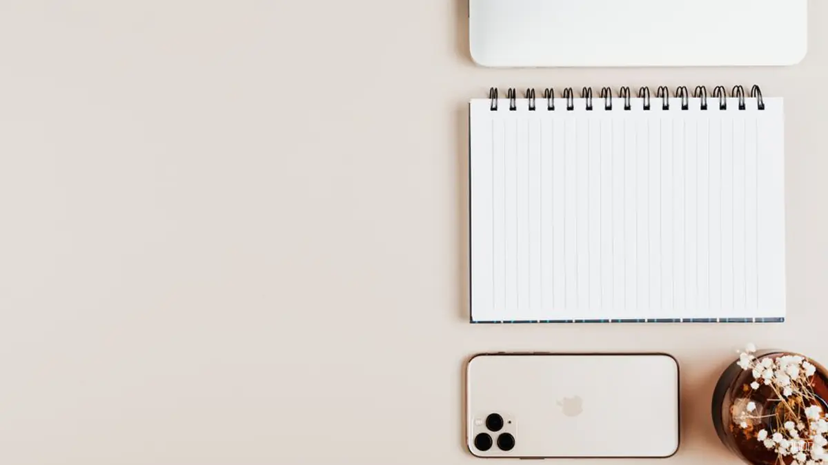 how to monetize a niche knowledge newsletter as a beginner