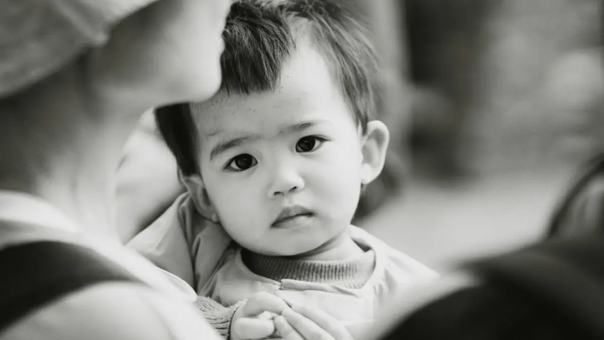 조기 영어교육 6세 이전 시작이 정말 독이 될까?